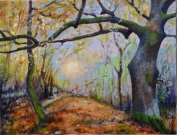 Brána  50 x 65